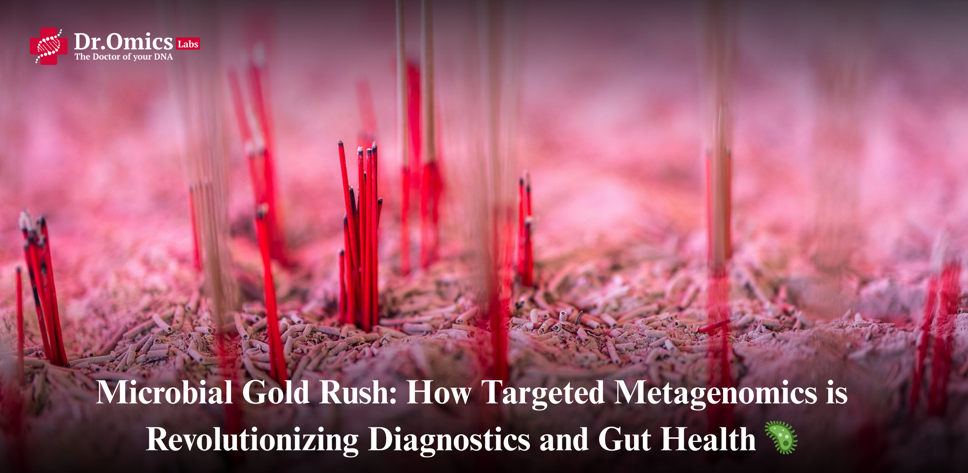 Microbial Gold Rush: How Targeted Metagenomics is Revolutionizing Diagnostics and Gut Health 🦠