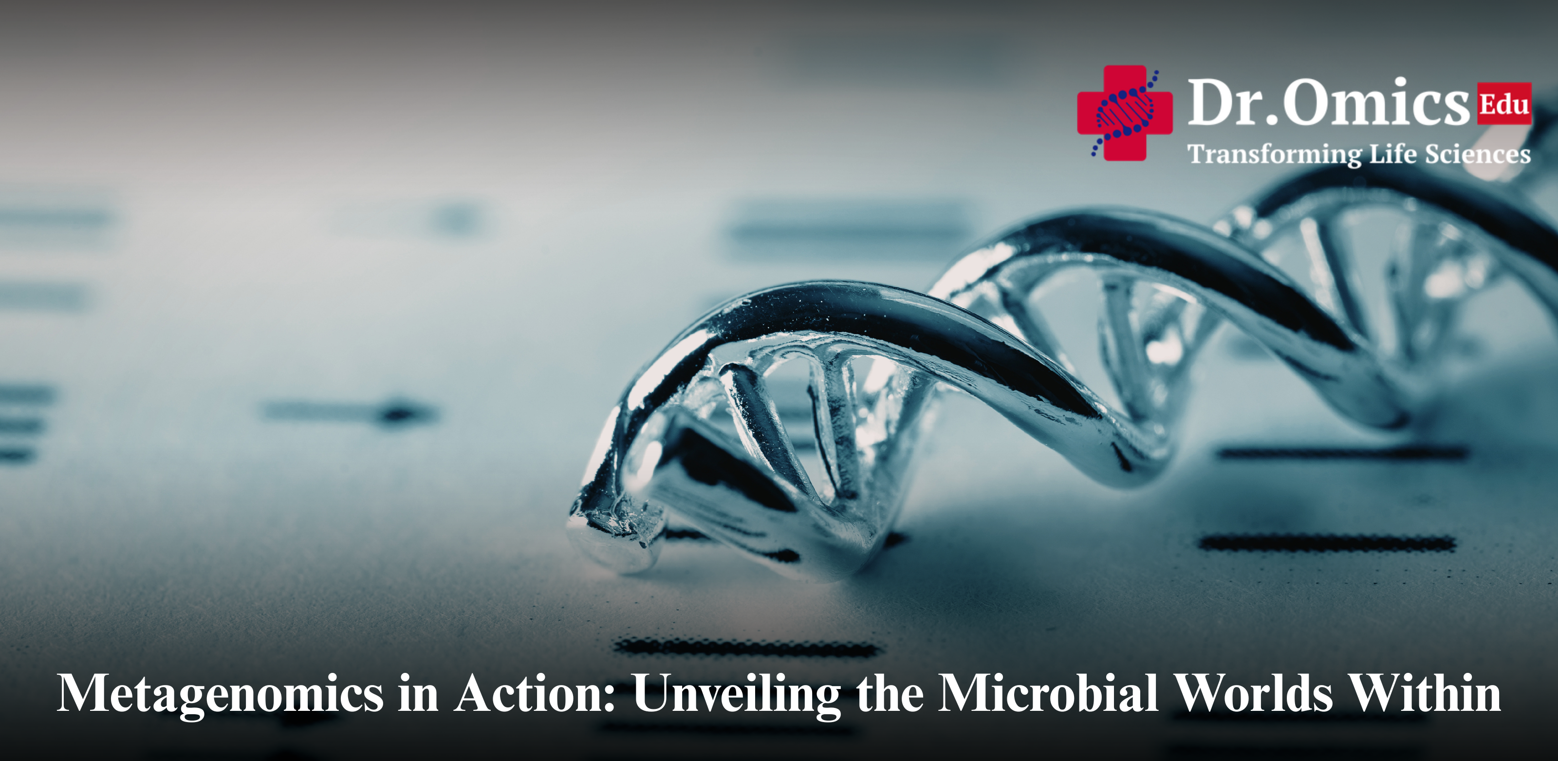 Metagenomics in Action: Unveiling the Microbial Worlds Within