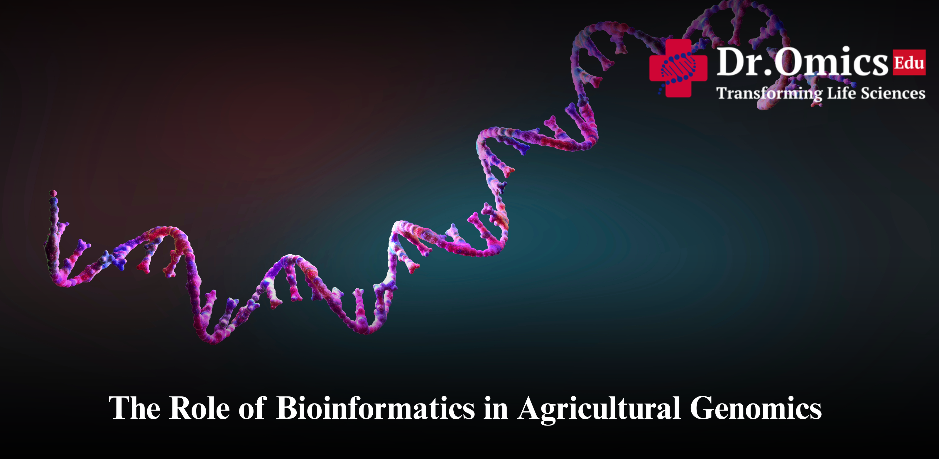 The Role of Bioinformatics in Agricultural Genomics